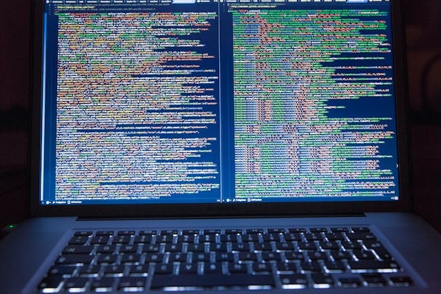 Website Launch 