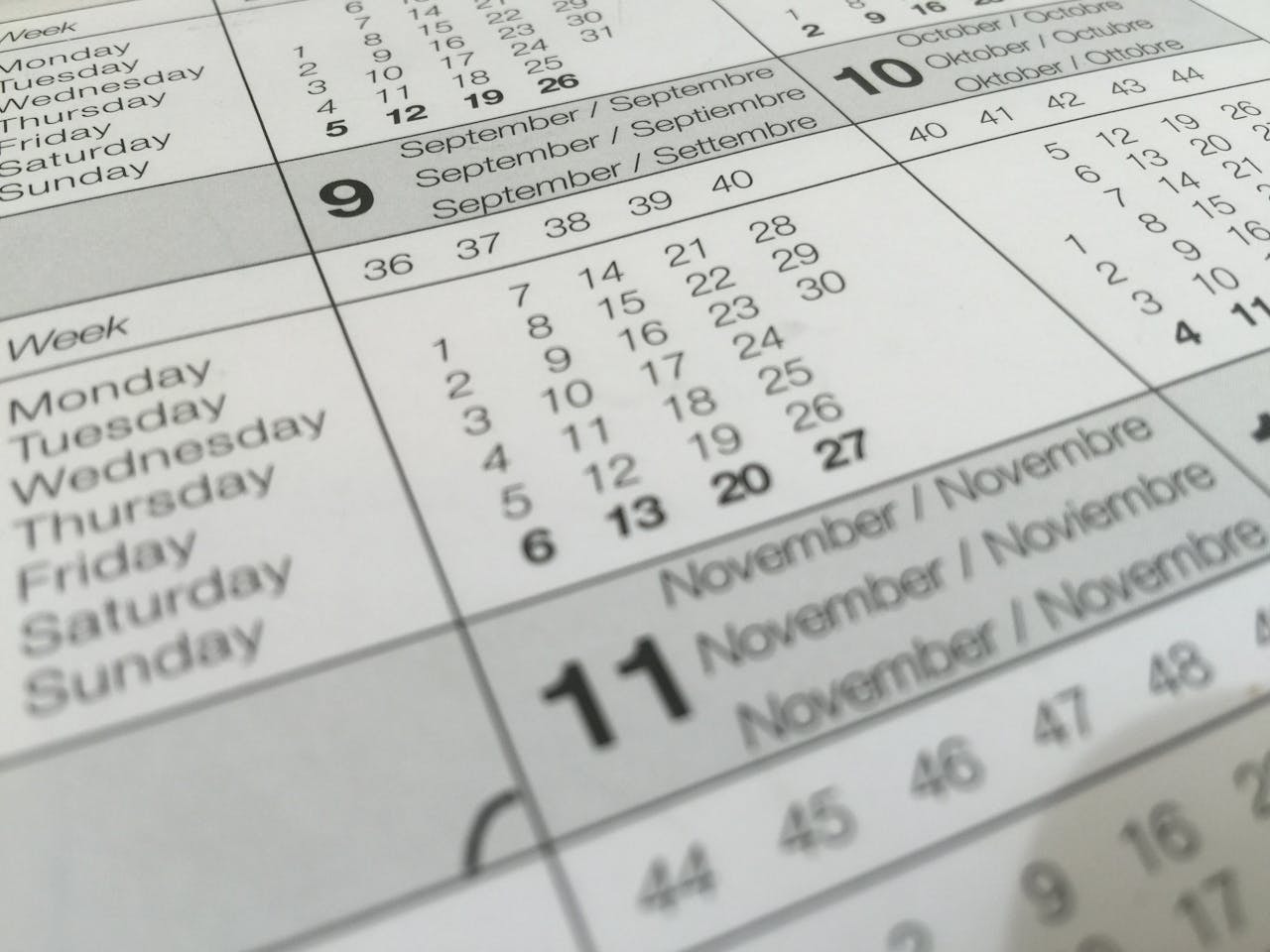Consistent Posting Schedule