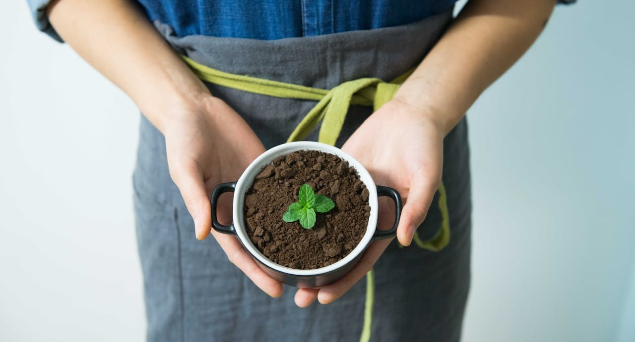 Sustainable Marketing is the Key to Success