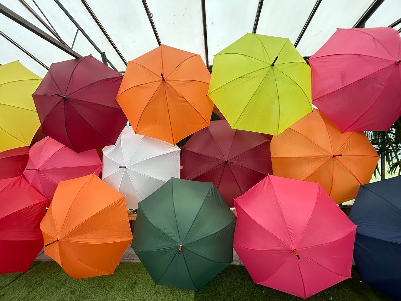 Cultural Differences in Color Preferences