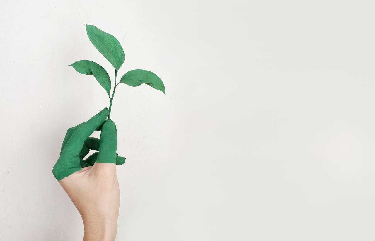 How Sustainable Marketing Differs from Greenwashing