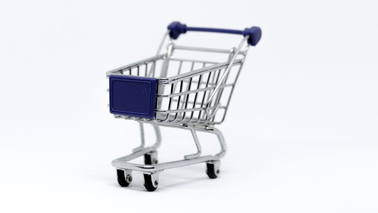Ecommerce Website Development